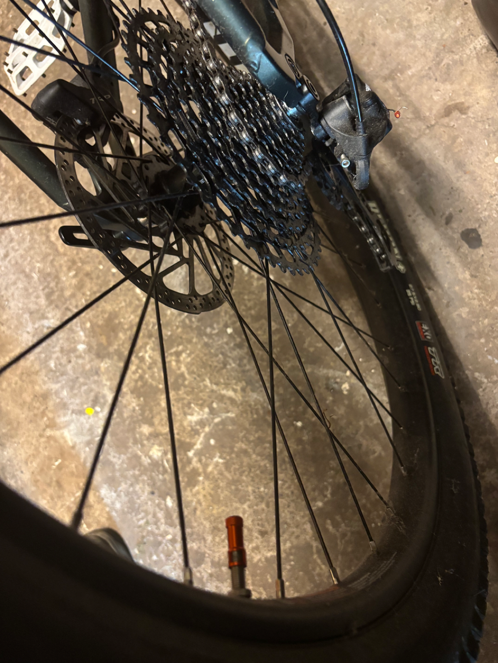 Whyte 901 2022