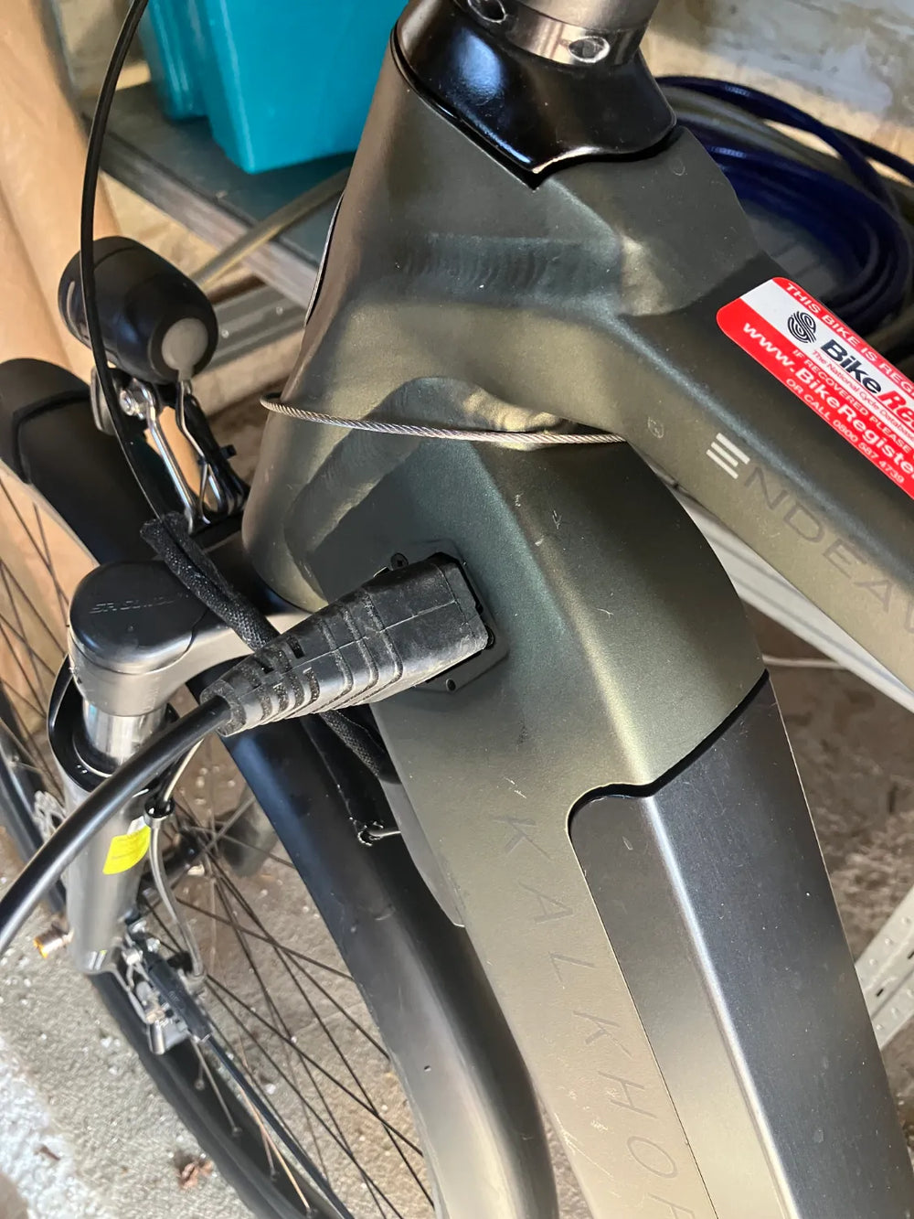 Kalkhoff Endevour 5.S Belt 2019