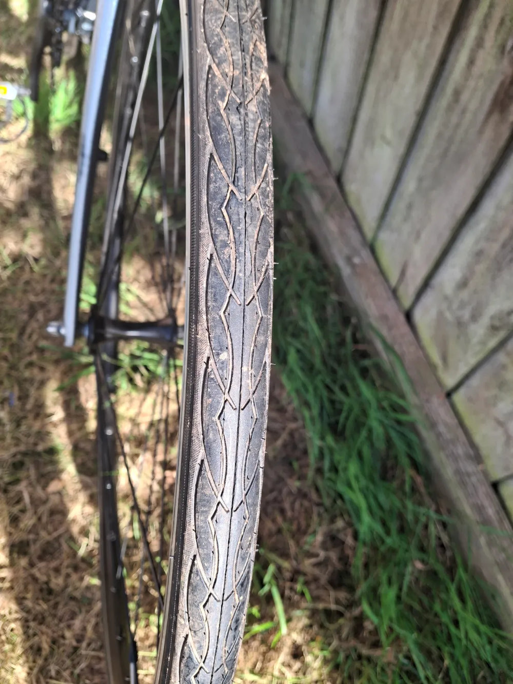 Vitus Razor W 2022