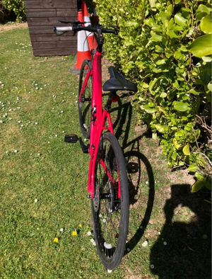 Trek FX 3 WSD Disc 2021