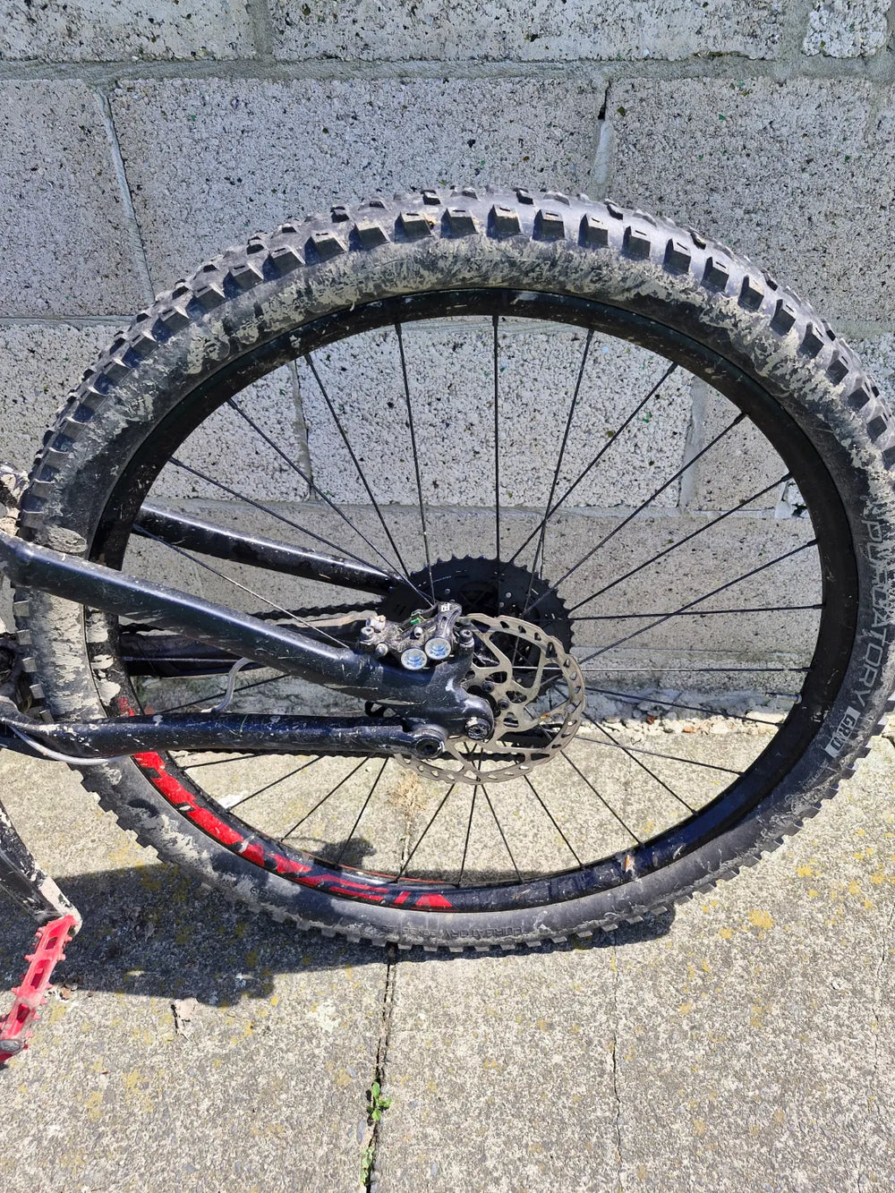 Specialized Men's Stumpjumper Comp Alloy 29  - 12-speed 2020