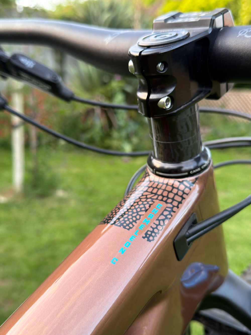 Santa Cruz Chameleon S / Carbon C / 29 2020