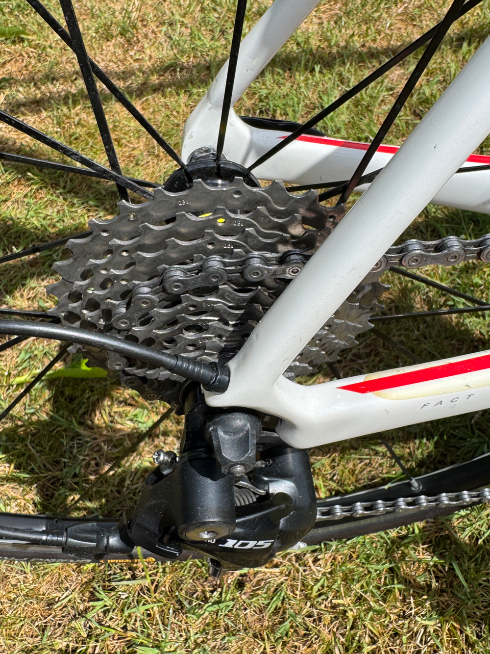 Specialized Roubaix SL4 Elite 2013