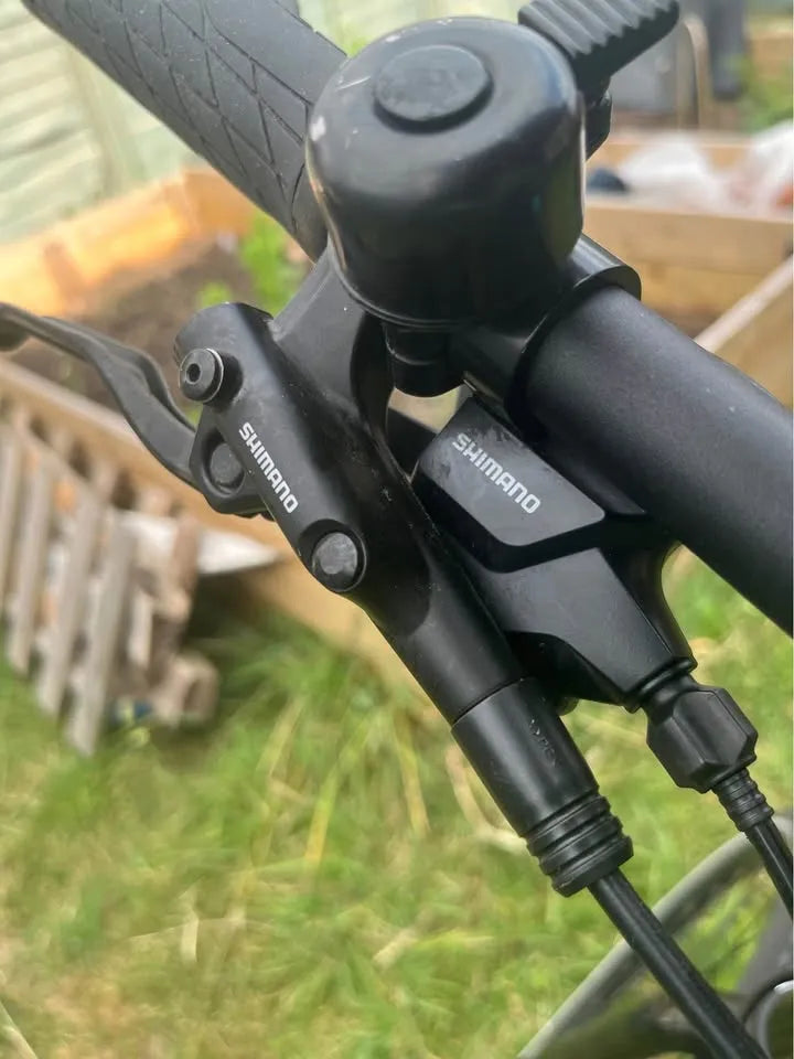 Revolution Works  Whippet  2022
