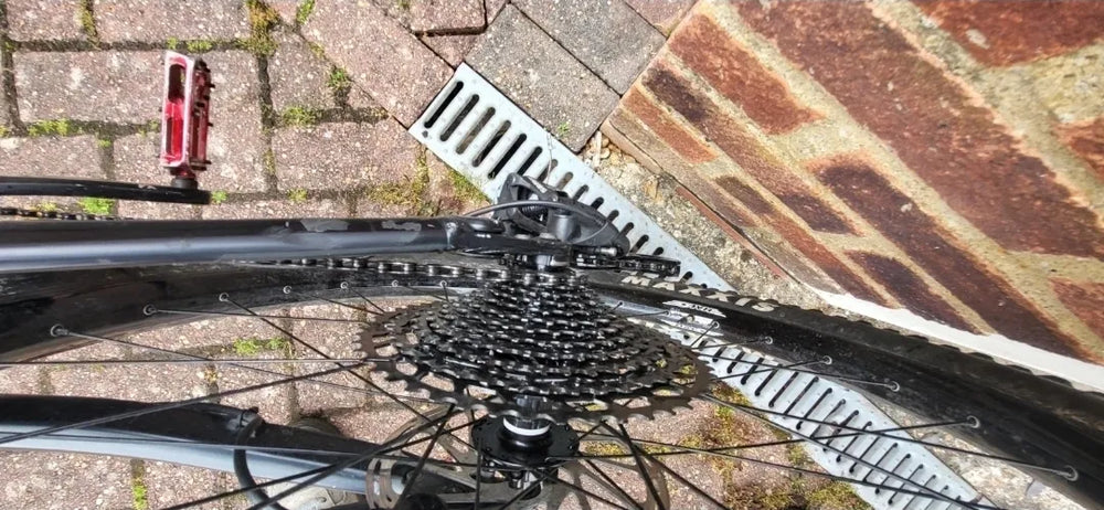 Canyon Spectral AL 5.0 2019
