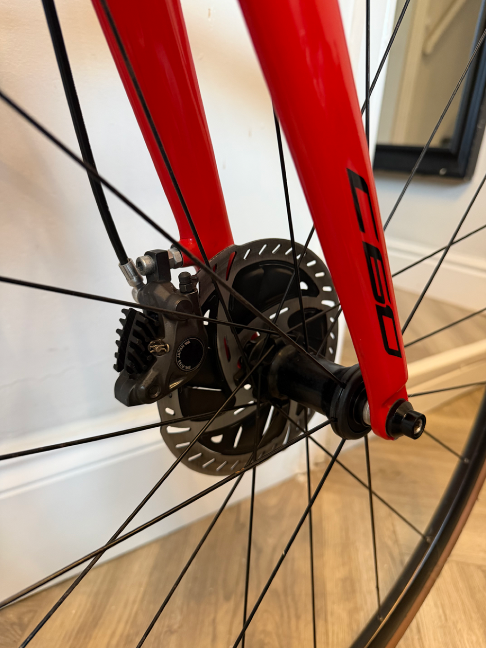 Colnago C60 Disc Frameset 2019