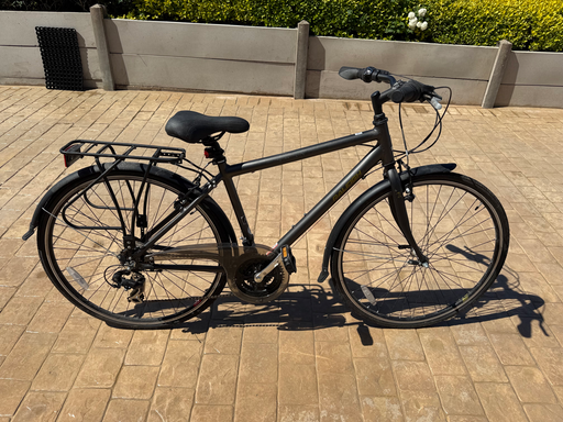 Raleigh Pioneer 2014