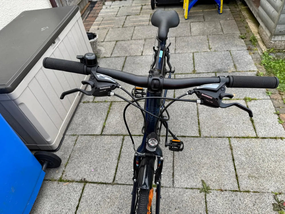 Serious Cedar S 2020