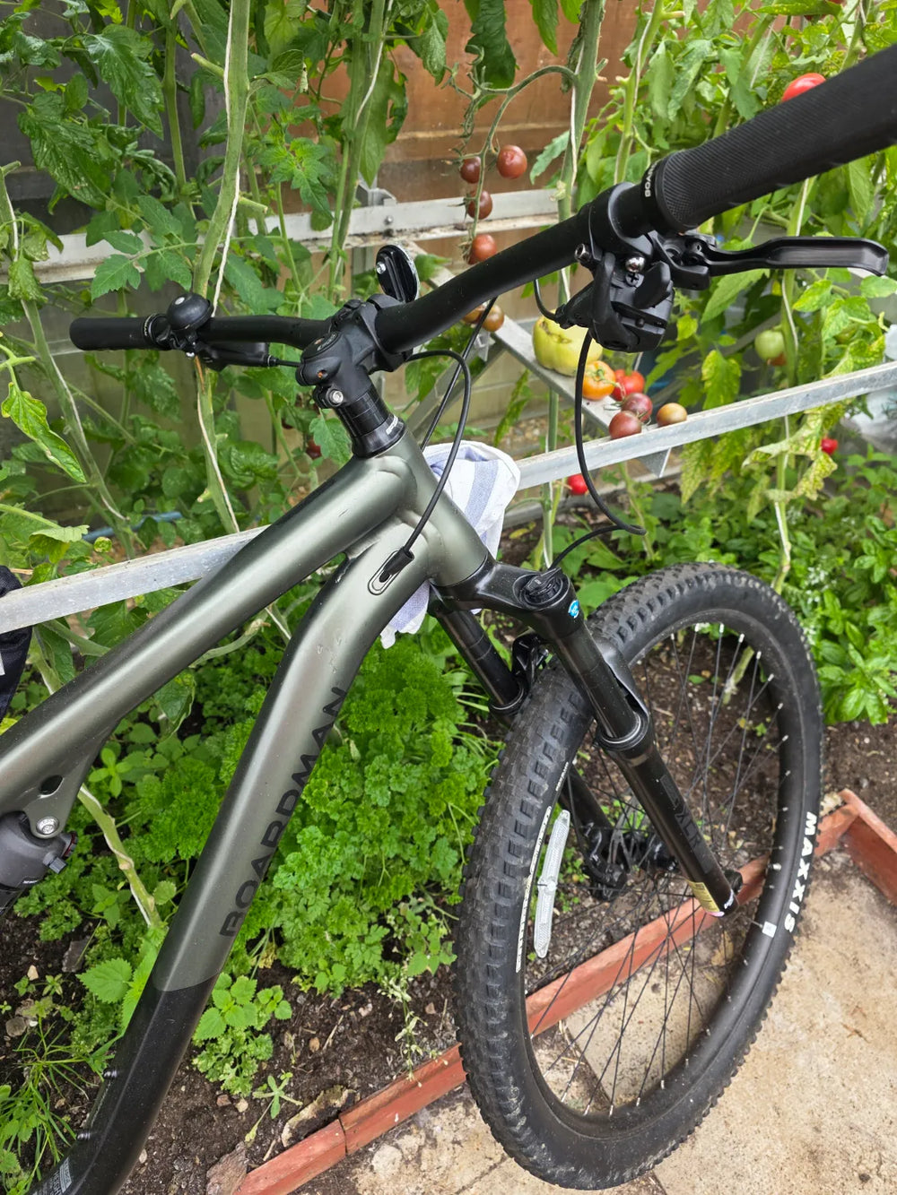 Boardman MTR 8.6 2026