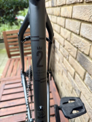 Trek Domane AL 2 Disc 2025