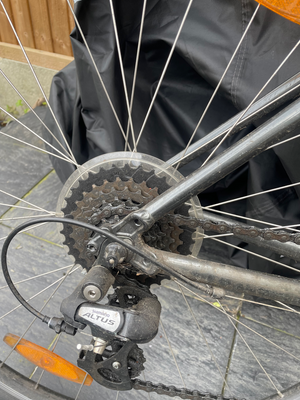 Trek FX1 2020