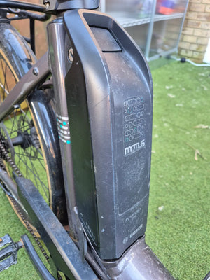 Raleigh Motus Ltd Lowstep Electric 2025