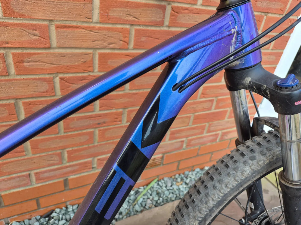 Trek Roscoe 6 2019