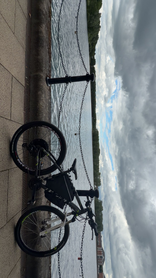 Rockrider Electric bike 2022