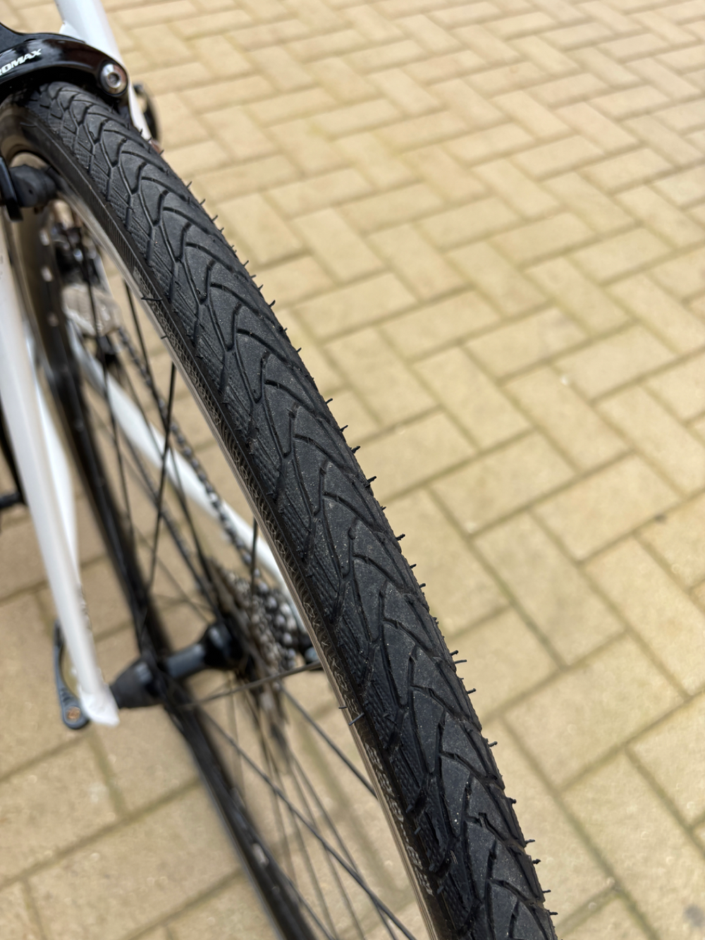 Cannondale Caad Optimo Sora 2019 Cannondale Caad Optimo Sora 2019