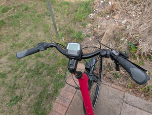 Trek Verve 2 Disc Lowstep 2019