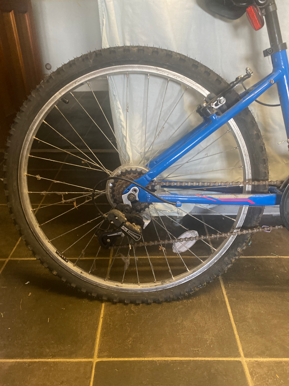 YT Industries Indi 2019
