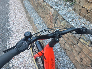 Momentum Vida E+ Low-Step 500Wh 2022