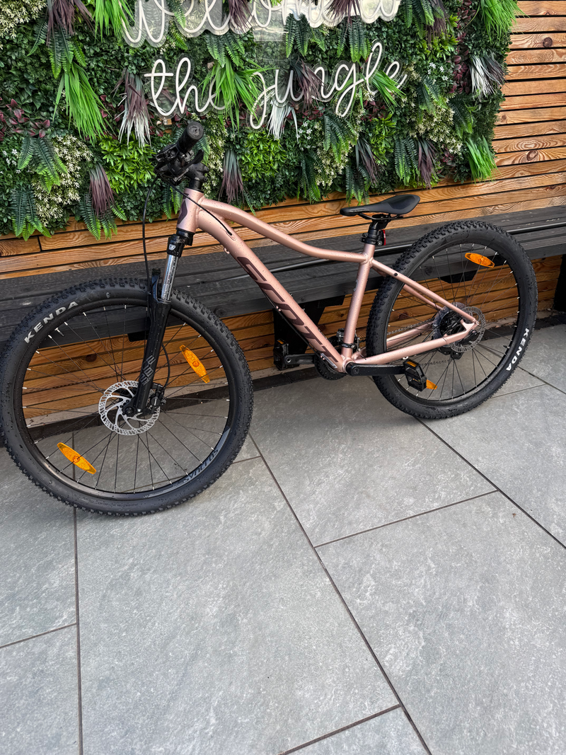 Scott Contessa 50 2024