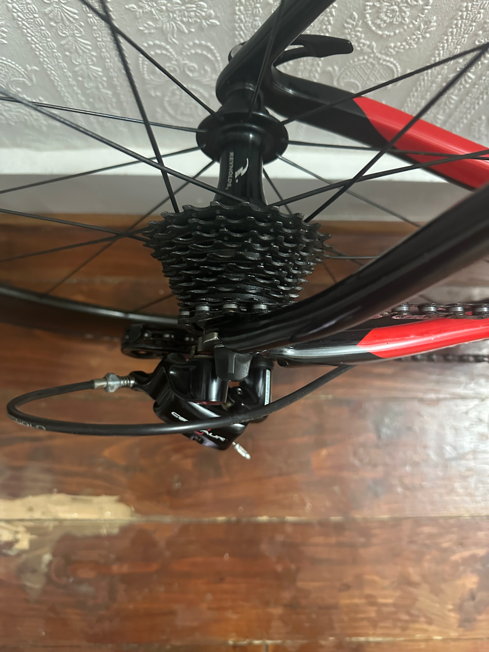 Quest Pulse 2010