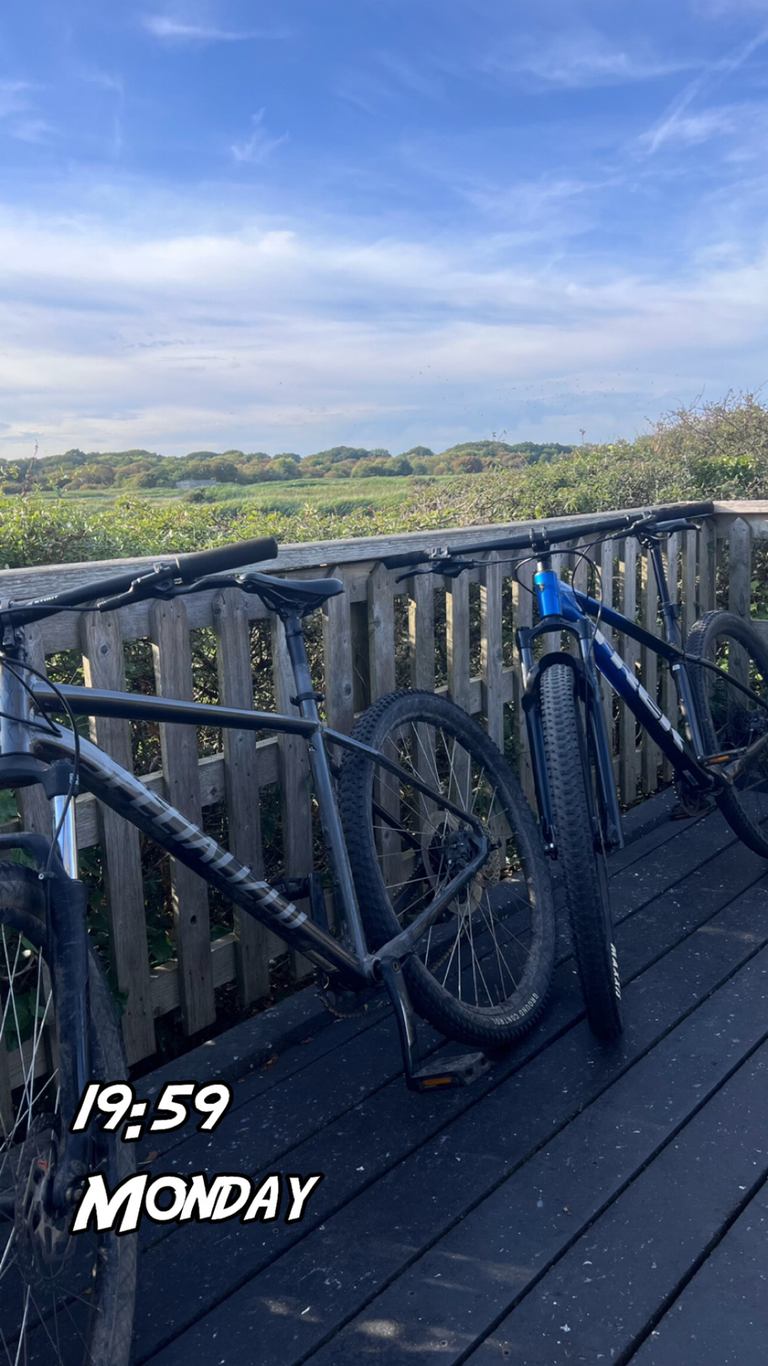 Trek Marlin + 8 2020