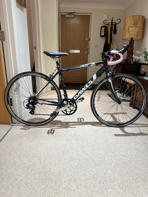 Dawes Giro 300 2010