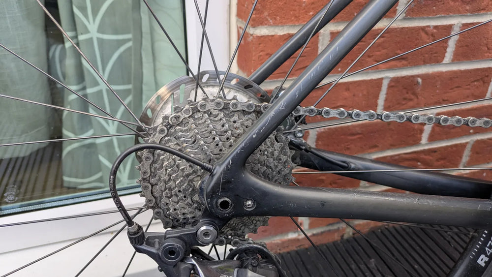 Specialized Roubaix Comp 2020