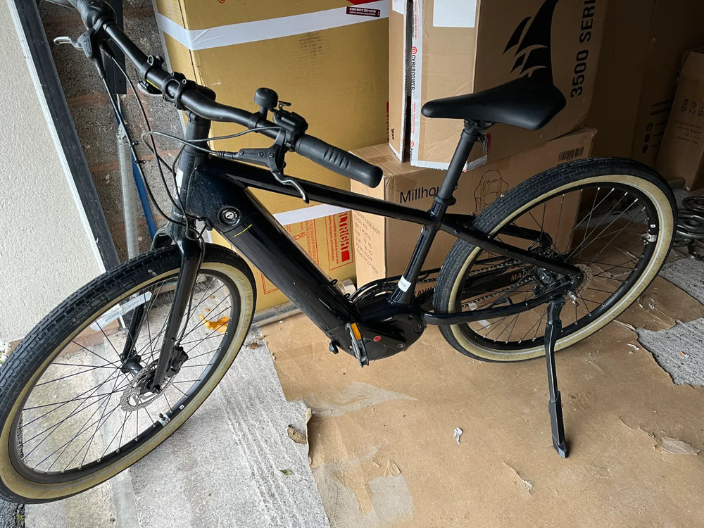 Momentum Transend E+ 2022