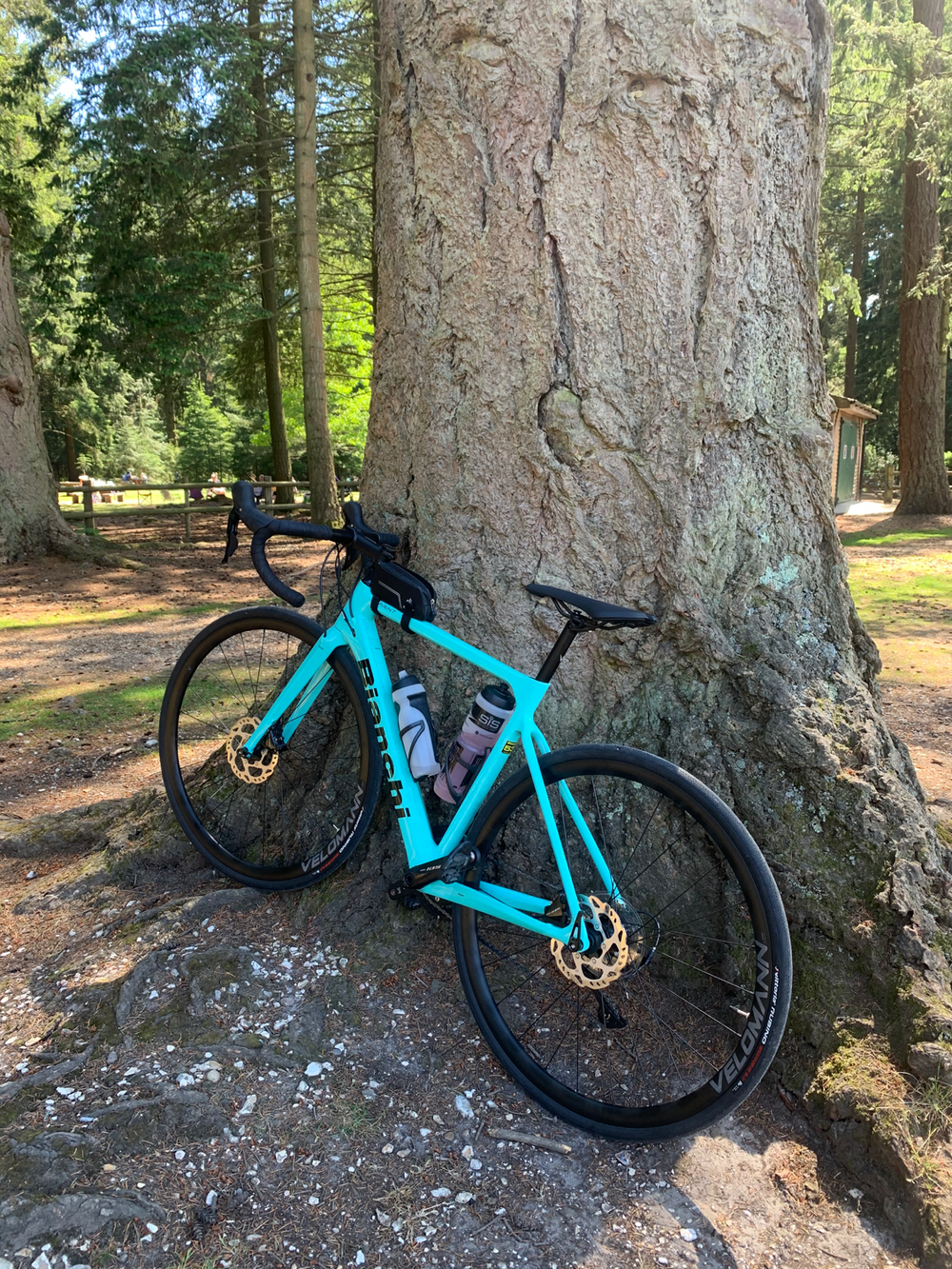 Bianchi Sprint 105 2021