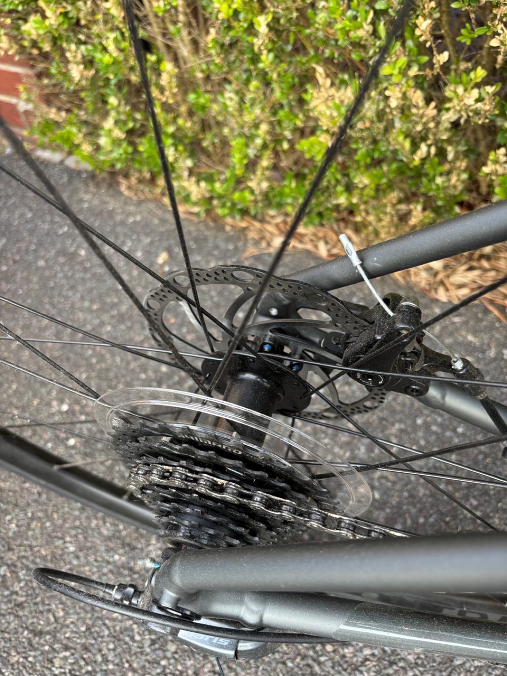 Trek Domane AL 2 2024