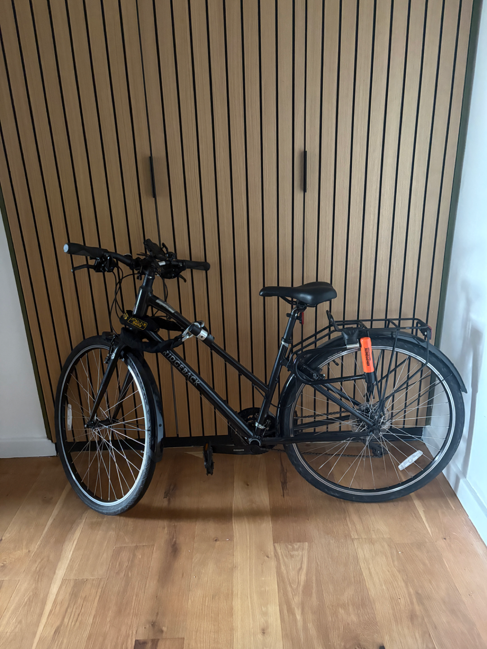 Ridgeback Speed Open Frame 2021