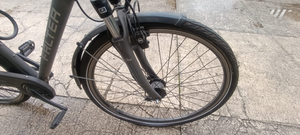 Falter C 4.0 Plus 2020 heavy duty bike’
