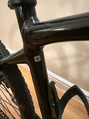Giant Roam E+ GTS 2022