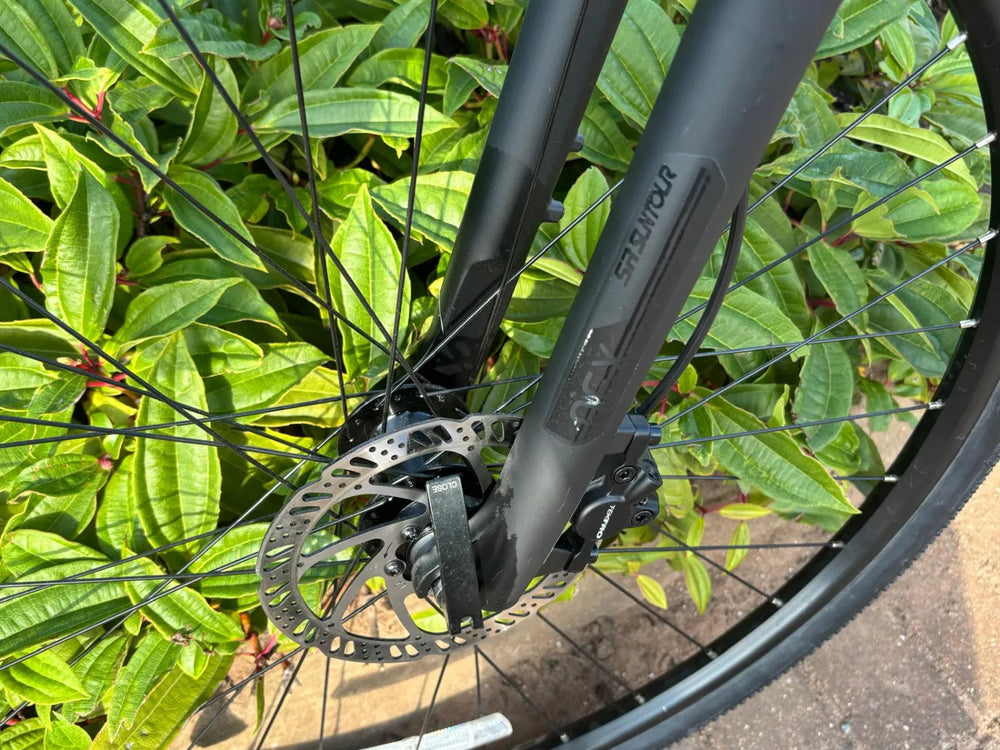 Trek Dual Sport 2 Women's 2021
