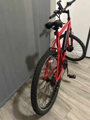 Apollo Phaze E 2021