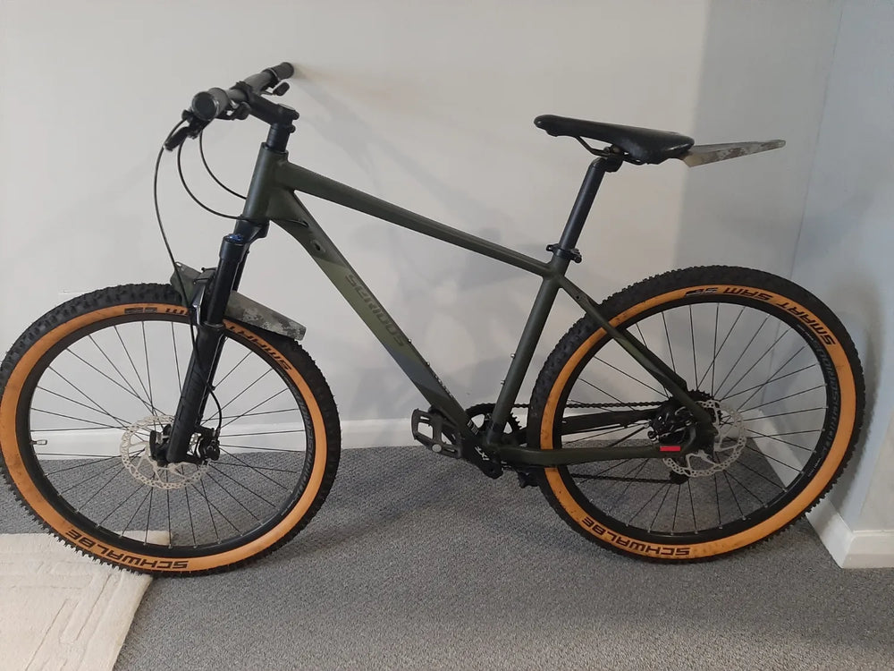 Serious cycles Global  Shoreline  2021