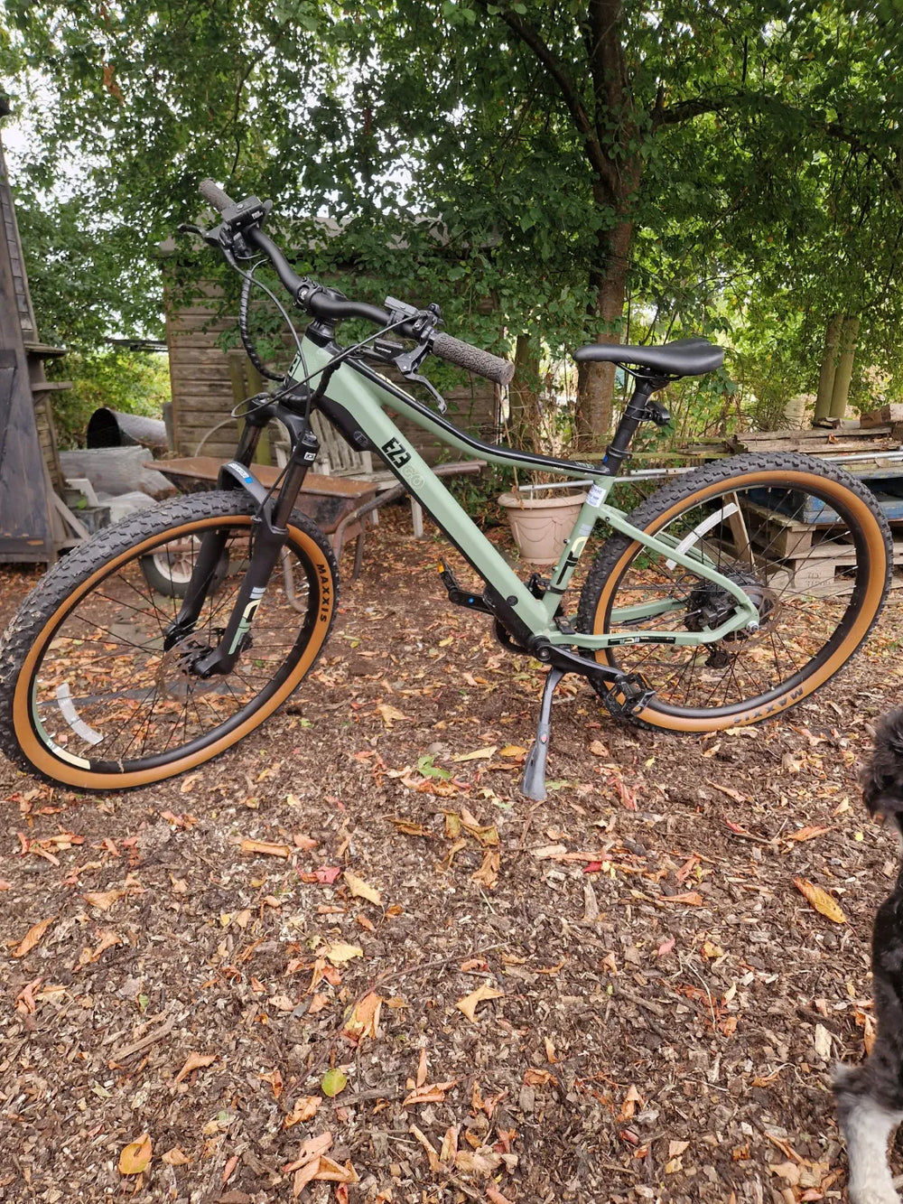 Ezego Trail Destroyer II 2024