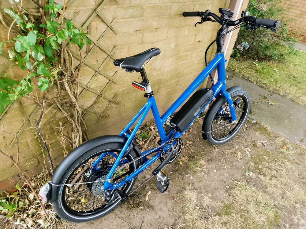 Ridgeback Errand 2024