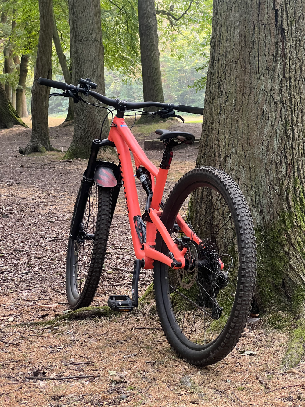 Specialized Stumpjumper 15 Alloy Dual Supension Lightweight 2025