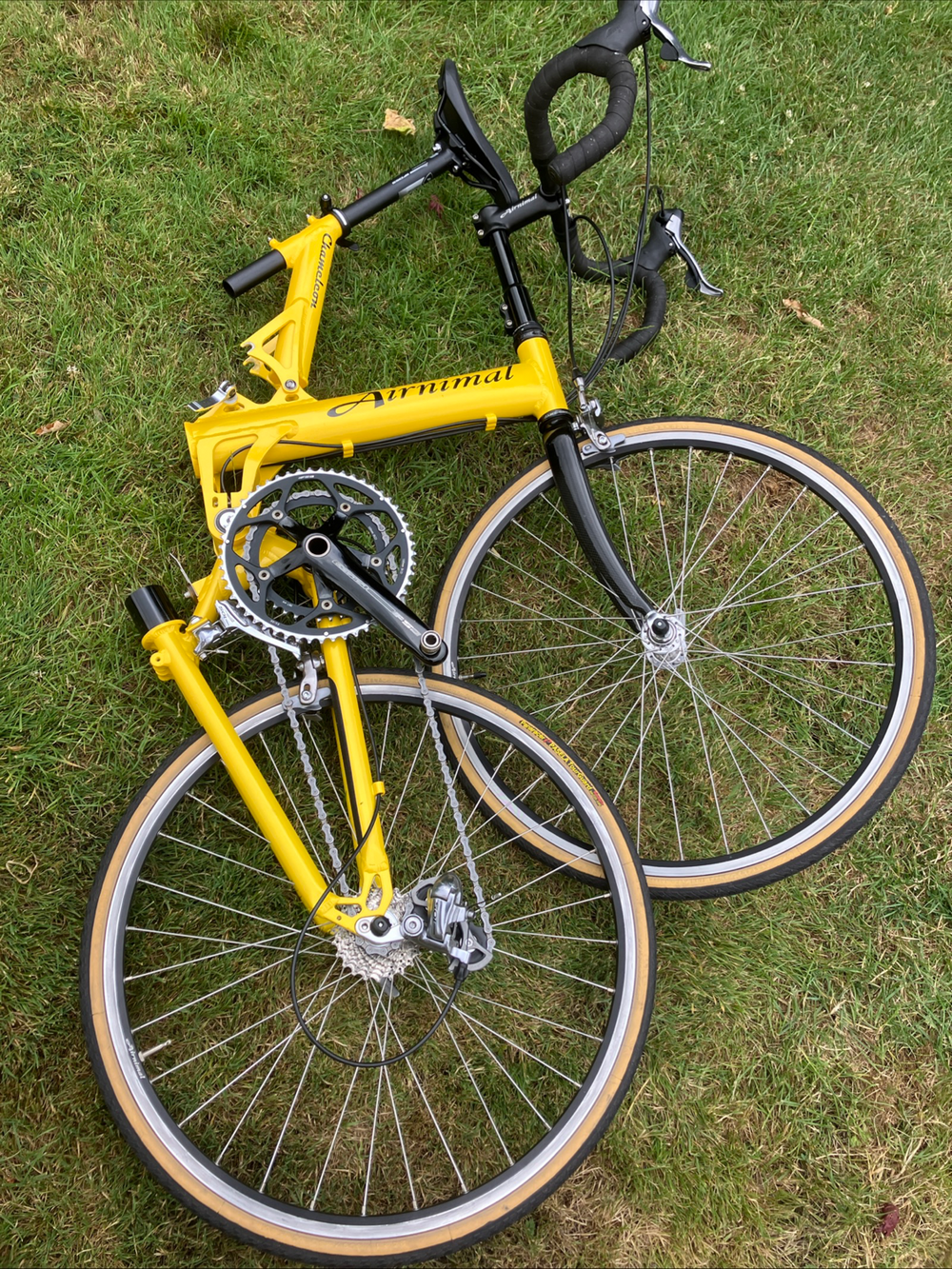 Airnimal Chameleon sport 2014
