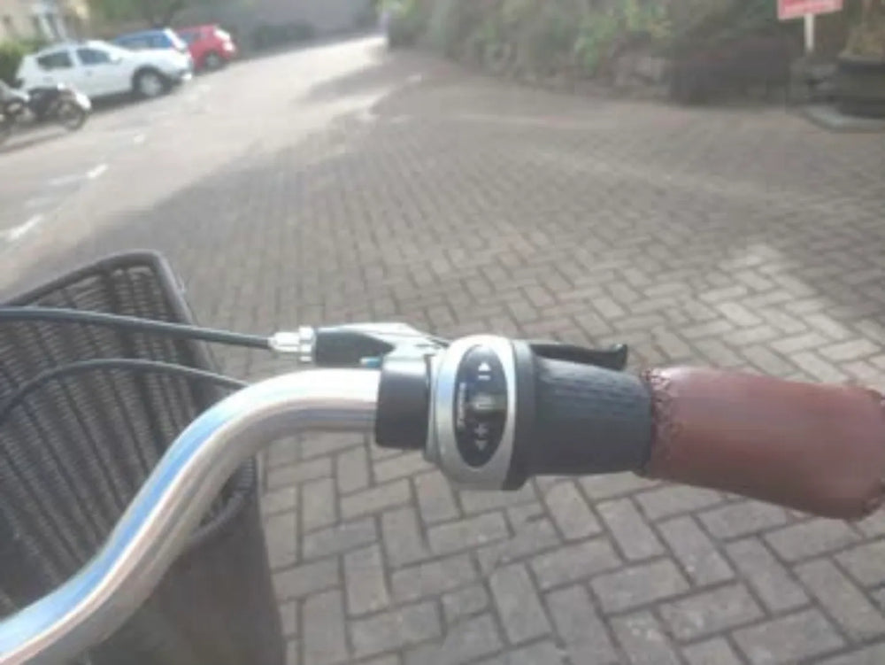 Batribike Quintessential 2017