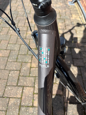 Raleigh Motus - Derailleur Gear Low Step 2020