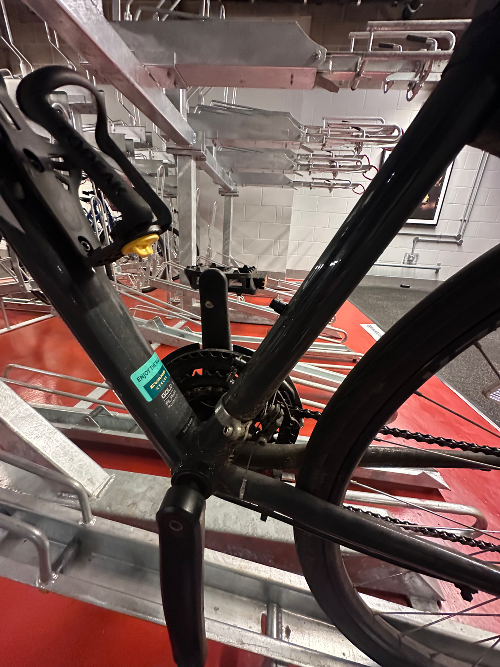 Trek FX 1 Disc 2022