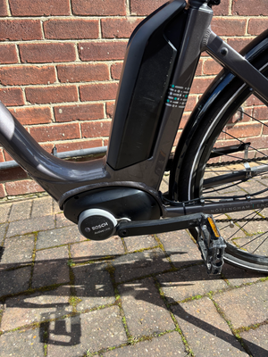 Raleigh Motus - Derailleur Gear Low Step 2020