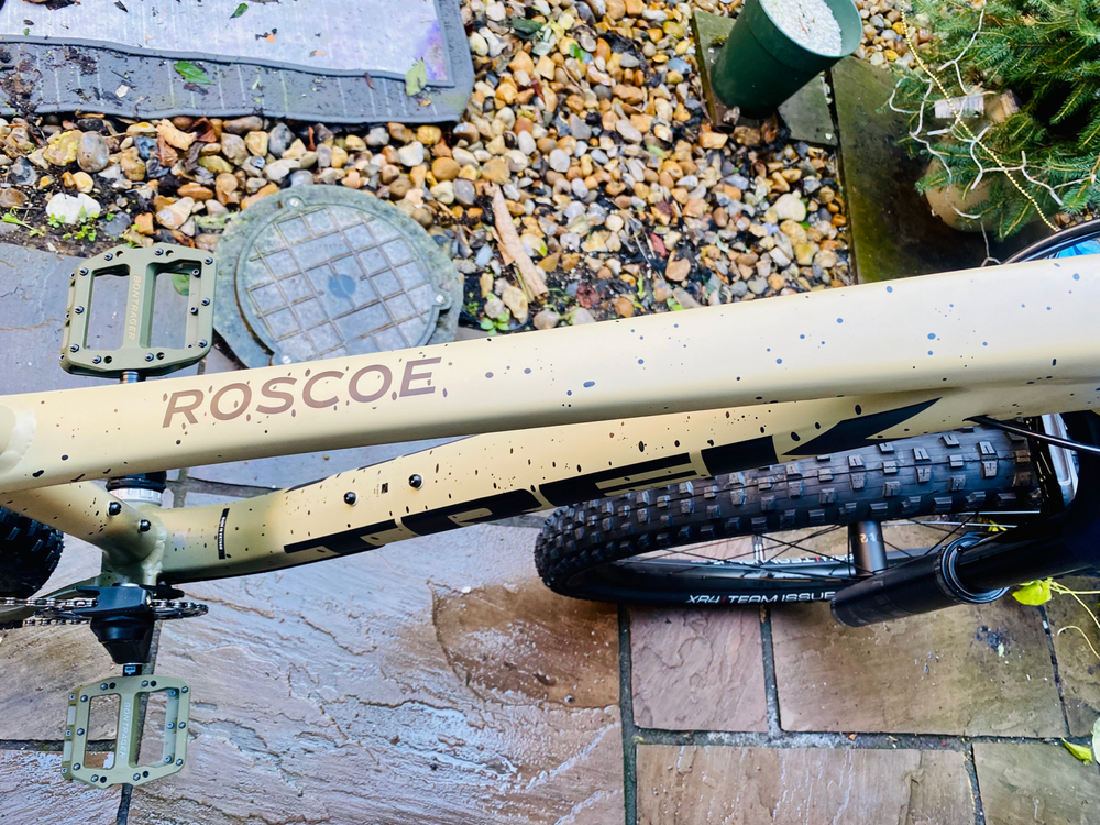 Trek Roscoe 9 2023