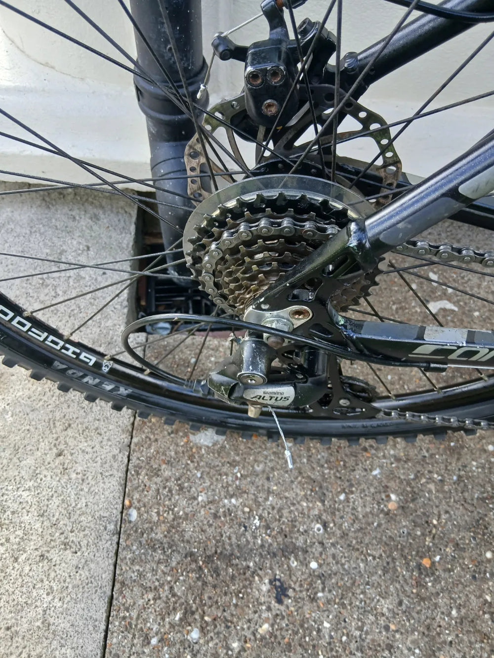 Carrera Vengeance , 2024
