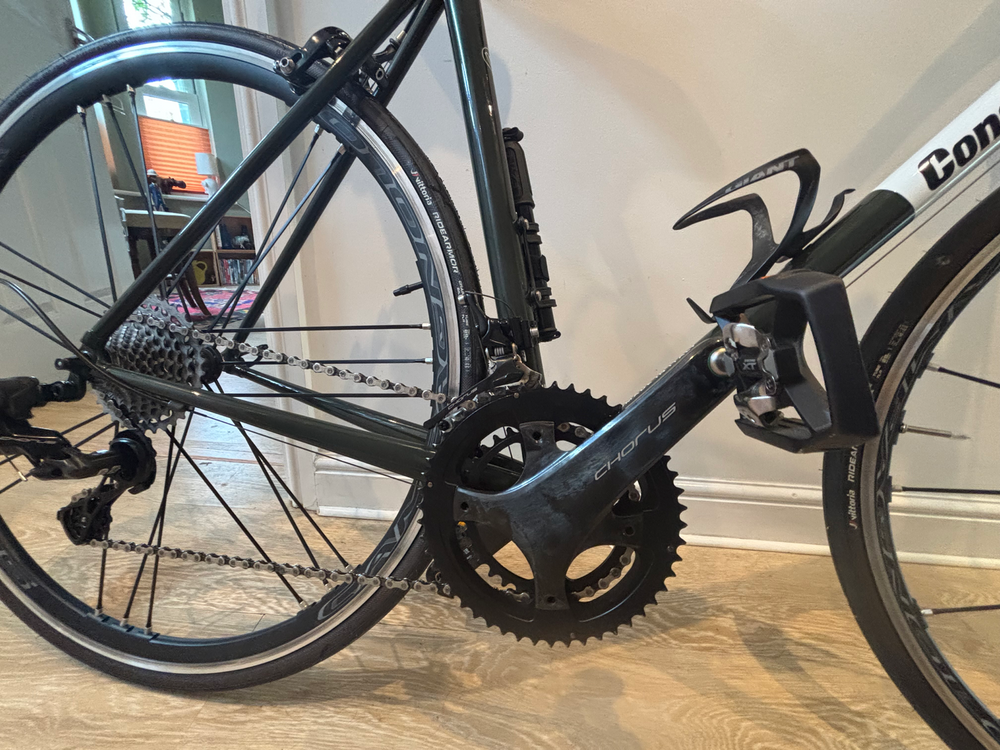 Condor Acciaio Frameset 2024