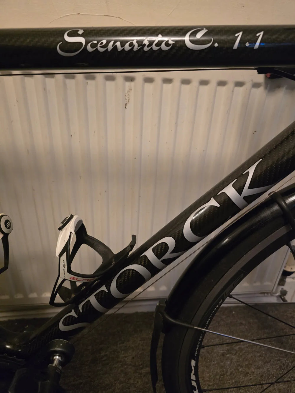 Storck Scenario
