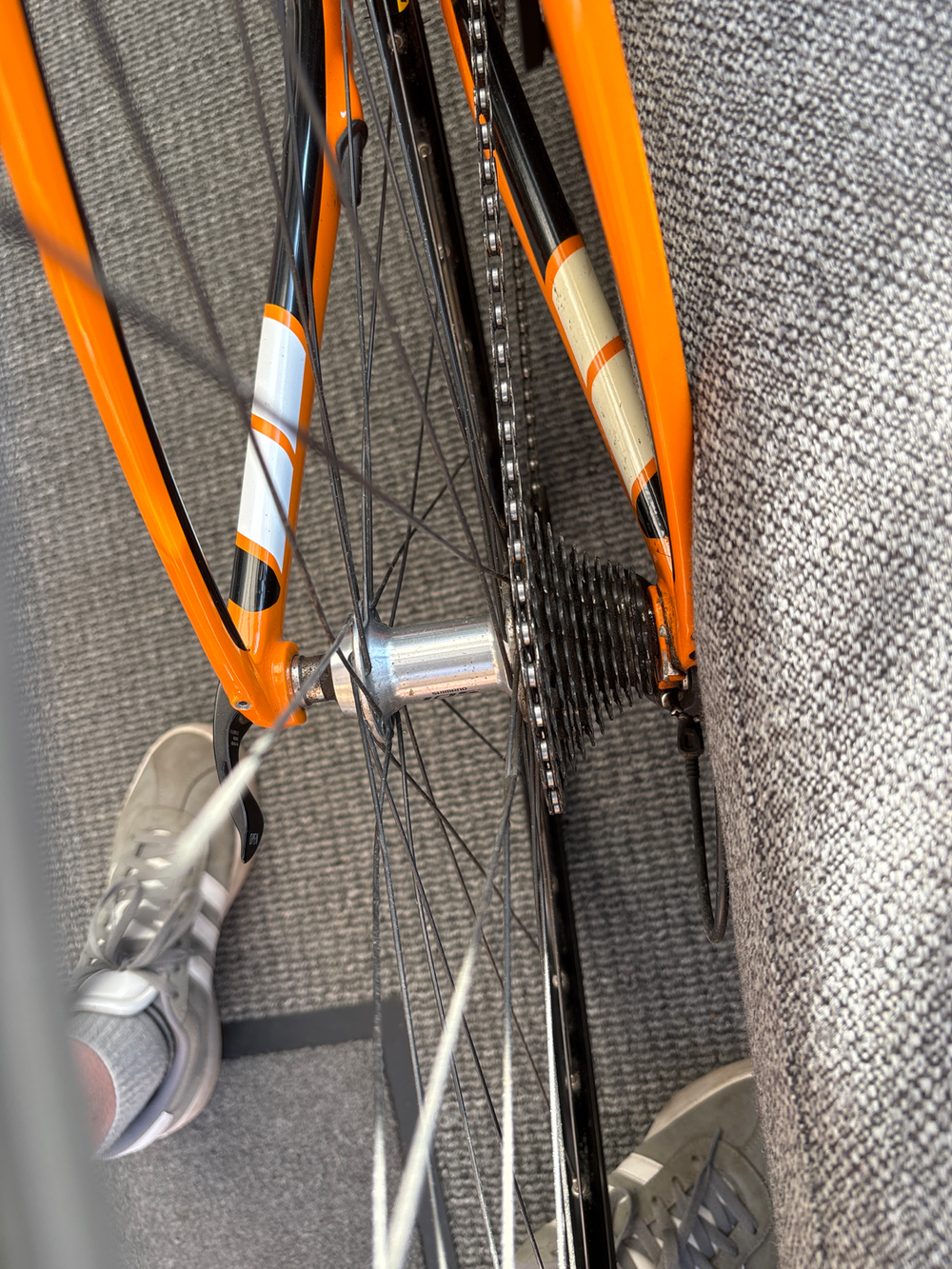 Trek Domane 5 Series Frameset 2016