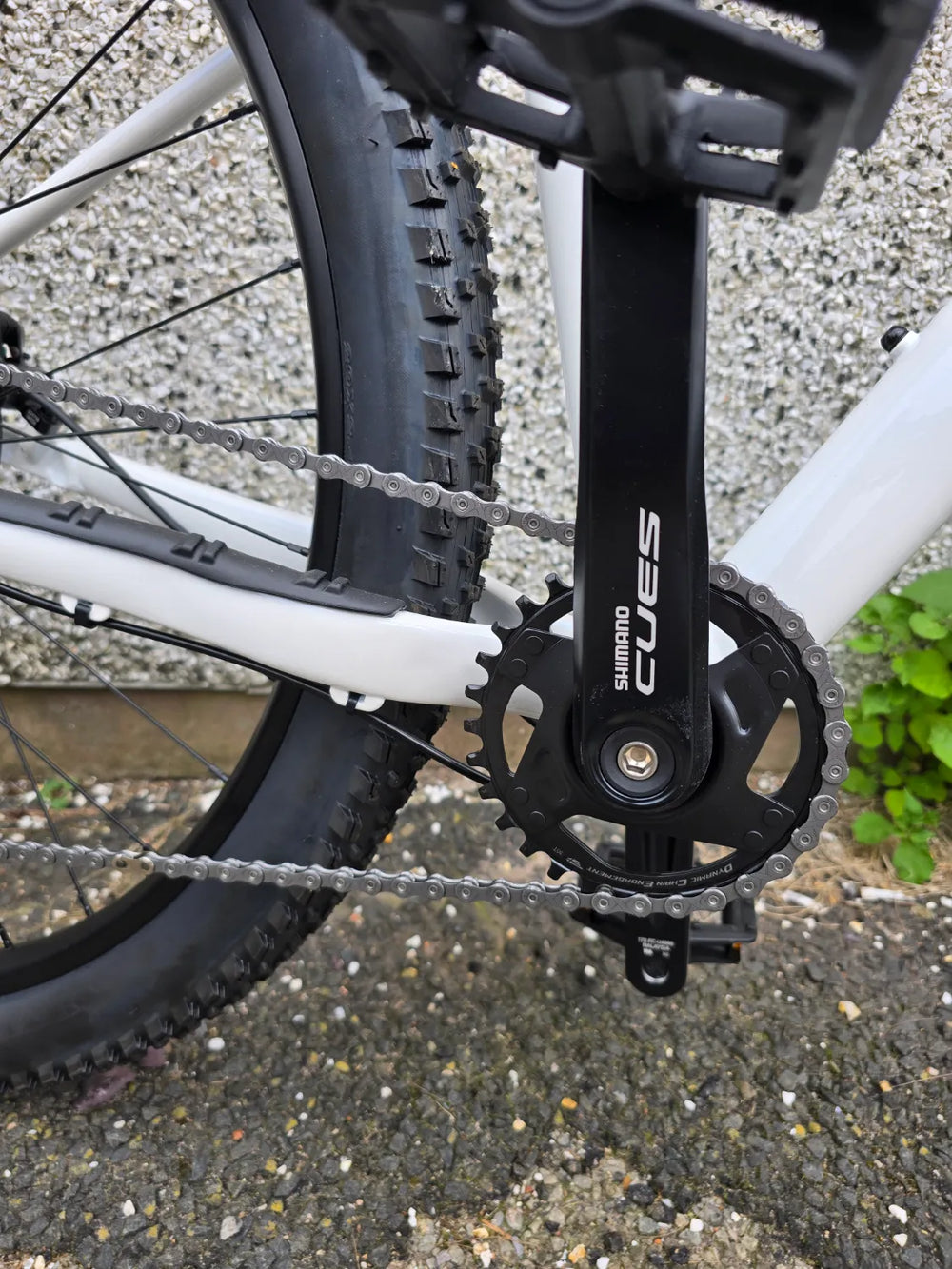 Whyte Secta R 2026